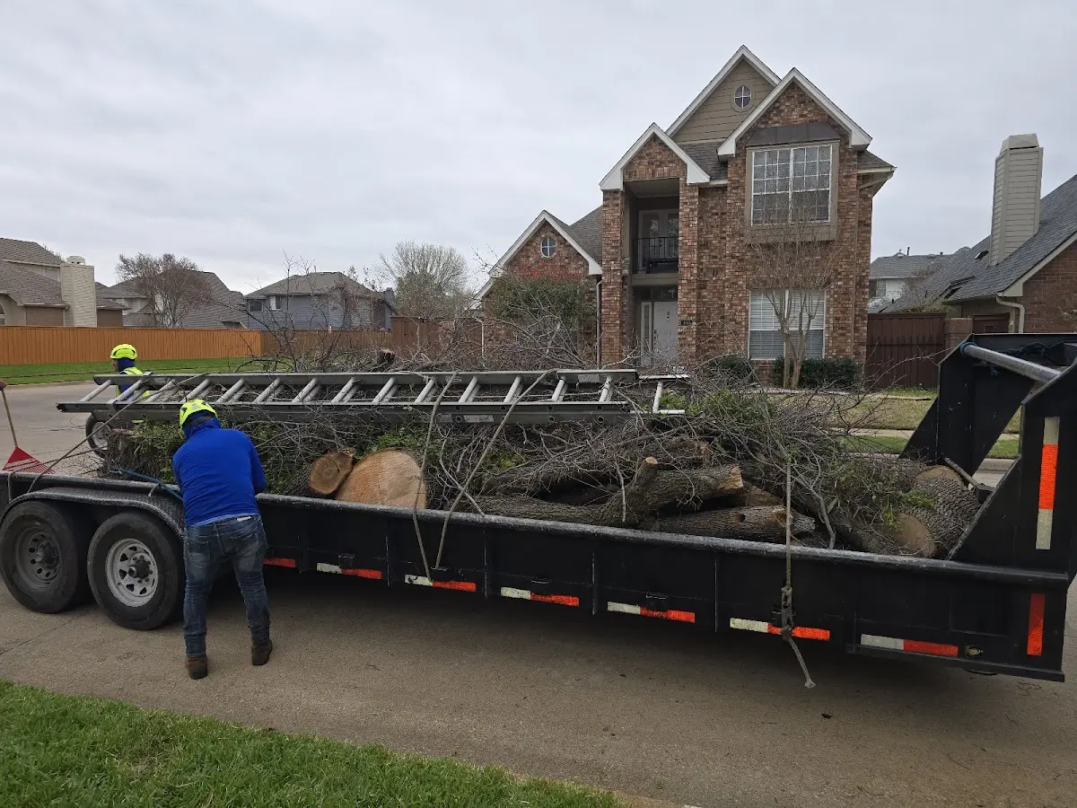 Expert Tree Pest Control with proper safety equipment in Wendel